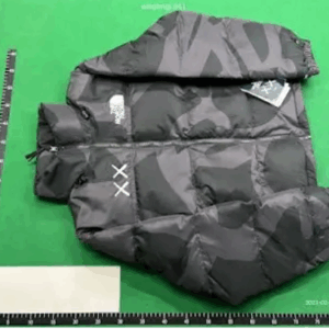 the north face sesame street jacket, multi color