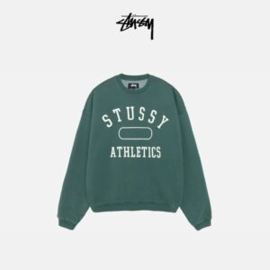 stussy oversized logo crewneck sweatshirt (multi color)​