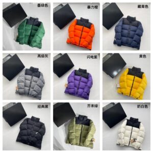 the north face 1996 down jacket multicolor
