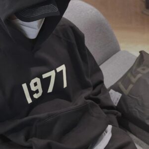 fog essentials hoodie