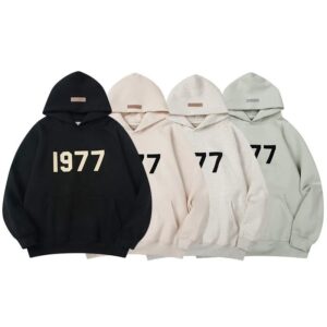 fog essentials hoodie