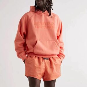 fog essentials hoodie