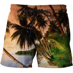 men's summer beach shorts