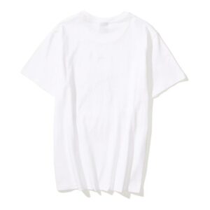 aj jordan 2025 summer tee (white and black)