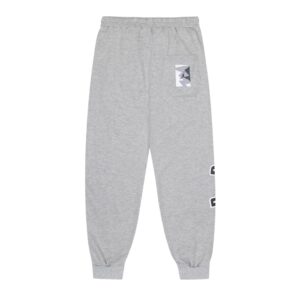 jordan logo jogger pants (gray and black)