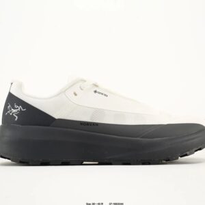 arc'teryx fl gtx shoes