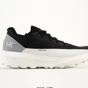 arc'teryx fl gtx shoes