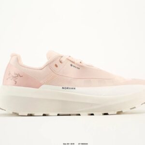 arc'teryx fl gtx shoes