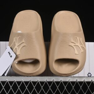 mlb skier slide yankees