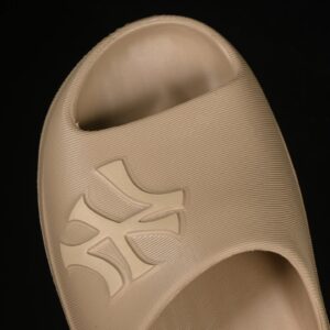 mlb skier slide yankees