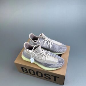 adidas yeezy boost 350 v2