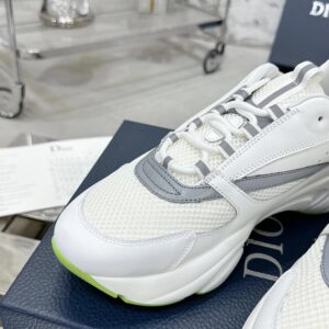 dior b22 sneakers (white gray)