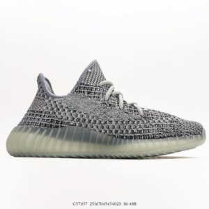 adidas yeezy boost 350 v2