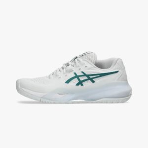 asics gel resolution shoes