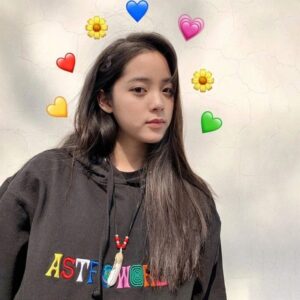 travis scott embroidered hoodie black