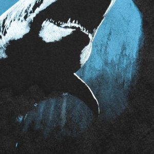 represent shark washed t shirt multicolor