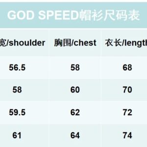 godspeed graphic hoodie multicolor