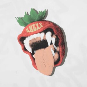 gallery dept strawberry printed t shirt white