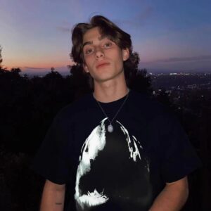 represent shark tee black