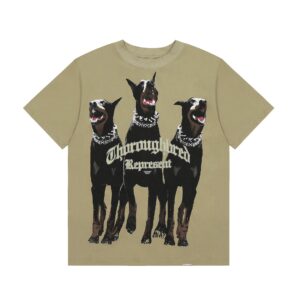 open207108910 252808396 56df0000019a82f50f6b0aa081c2 1920 1920.jpg