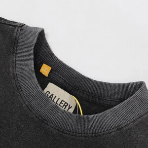 gallery dept skull usa tour tee