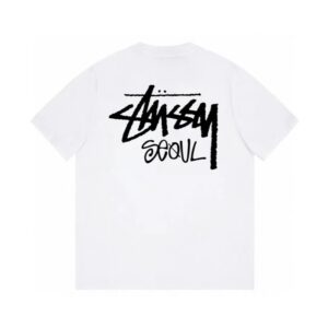 stussy graphic logo tee multicolor