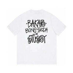 stussy graphic logo tee multicolor