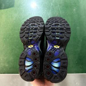 nike air max plus tn 1 black rainbow