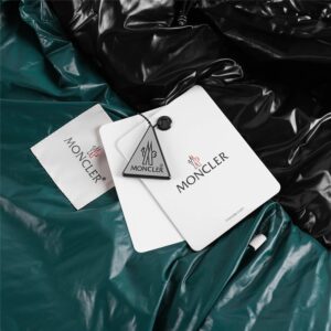 moncler hanoverian fw21 long hooded glossy down coat​ black