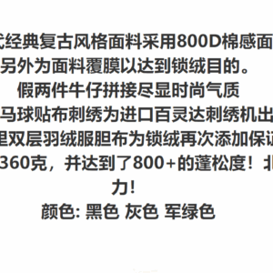 polorl colorful embroidered down jacket