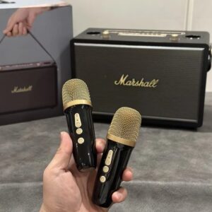 marshall dual mic stereo speaker black