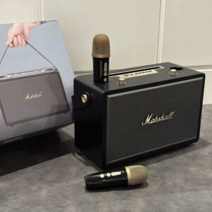 marshall dual mic stereo speaker black