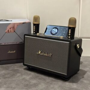 marshall dual mic stereo speaker black
