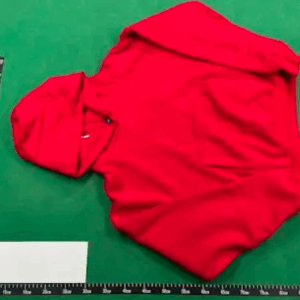 yeezy thick hoodie multi color